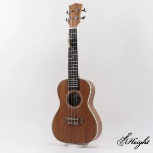 concert-ukulele-ebay15406280138(1)