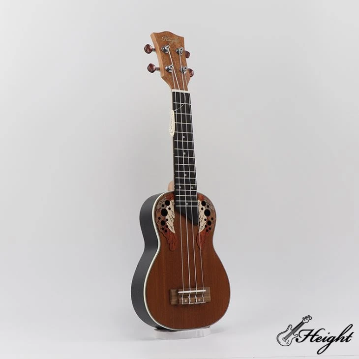 Ukulele für Anfänger